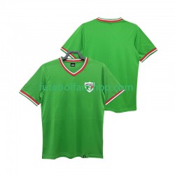 Camisola Principal Seleção Mexicana Retro 1970 Manga Curta ,Homem