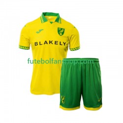 Camisola Principal Norwich City Época 2025/2026 Manga Curta ,Criança