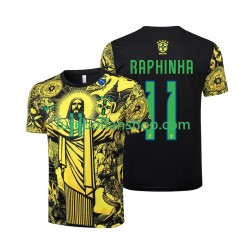 Camisola Principal Seleção Brasileira RAPHINHA 11 Jesus 2024 Manga Curta ,Homem