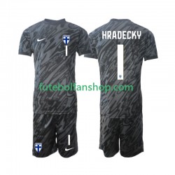 Camisola Principal Guarda-redes Seleção Finlandesa HRADECKY 1 2024 Manga Curta ,Criança