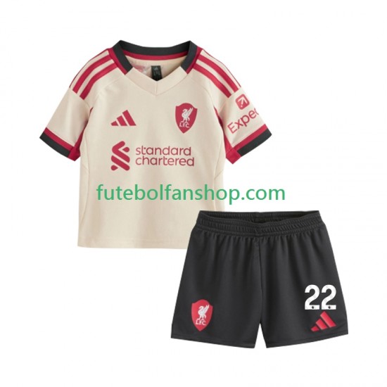 Camisola Alternativo Liverpool Hugo Ekitike 22 Época 2025/2026 Manga Curta ,Criança