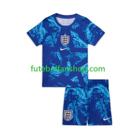 Camisola Alternativa (2ª) Guarda-redes Seleção Inglesa World Cup 2026 Manga Curta ,Criança