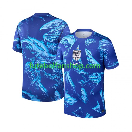 Camisola Alternativa (2ª) Guarda-redes Seleção Inglesa World Cup 2026 Manga Curta ,Homem