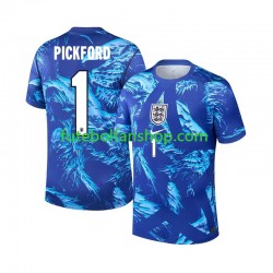 Camisola Alternativa (2ª) Guarda-redes Seleção Inglesa Jordan Pickford 1 World Cup 2026 Manga Curta ,Homem
