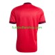Camisola Alternativa (2ª) Seleção Norueguesa Martin Odegaard 10 World Cup 2026 Manga Curta ,Homem